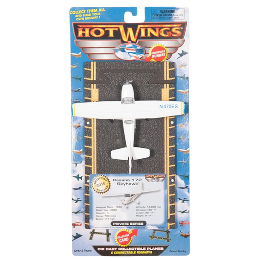 Hot Wings Cessna 172